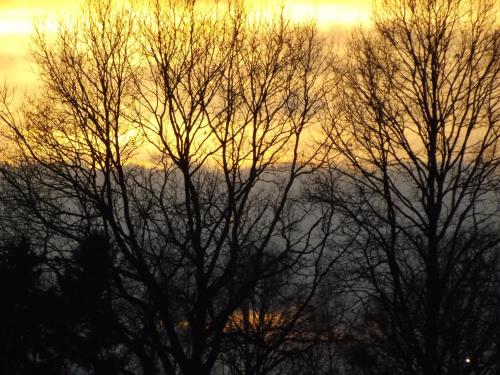 Vosseven 78 Melde - image 8