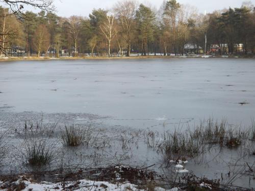 Vosseven 78 Melde - image 5