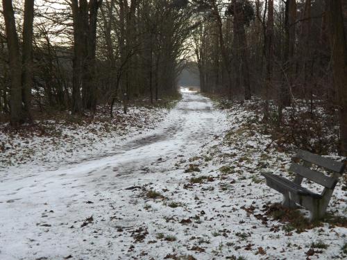Vosseven 78 Melde - image 2
