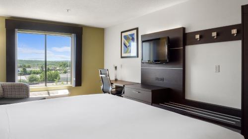 Holiday Inn Express Hotel & Suites Newton Sparta an IHG Hotel - image 2