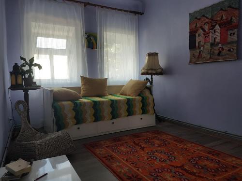 Ethnic House in Town Center in Cahul