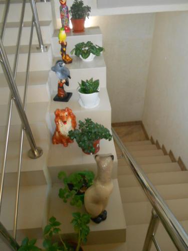 Hotel Rodnichok - image 9