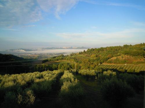 Agriturismo La Ginestrella - main image