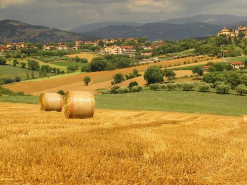 Agriturismo La Ginestrella - main image