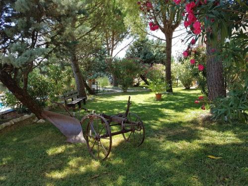 Agriturismo La Ginestrella 5