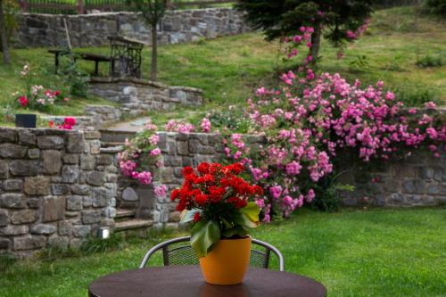 Anavasi Mountain Resort