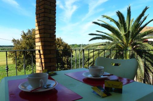 La Mimosa - image 6