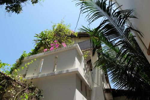 Balcony/terrace, Moon house tropical garden - Lavender in Phuoc Long