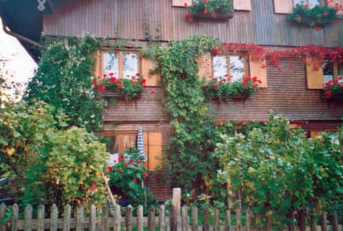 Haus Lisa Wittwer - Apartment - Oberjoch-Hindelang