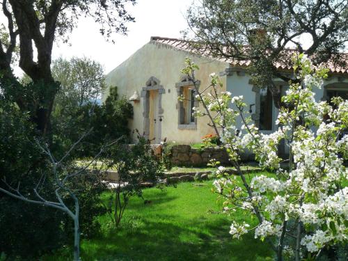  La Scala Guesthouse, Unterkunft in Berchiddeddu