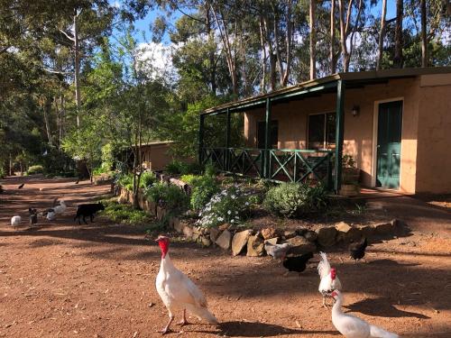 Country Cottages of Bridgetown