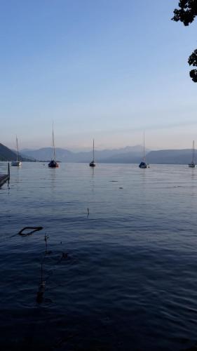 Zum Attersee - image 9