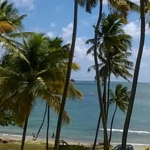 Palm View, Laborie (foto 2)