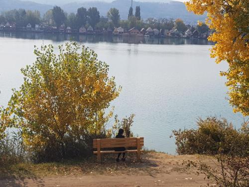 House at Lake