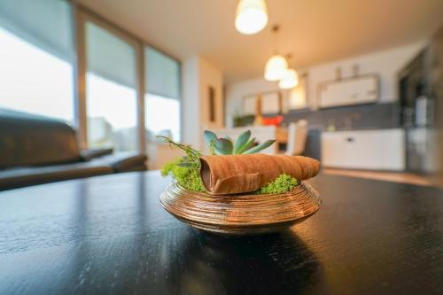 Slavic Spacious Apartment - image 2