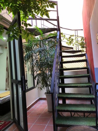 La ventana modern house