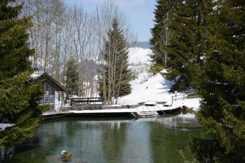 Навколишнє середовище, Chalet Nr. 50 in Флулі