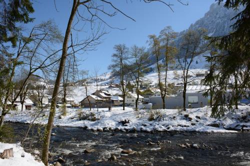 Навколишнє середовище, Chalet Nr. 50 in Флулі