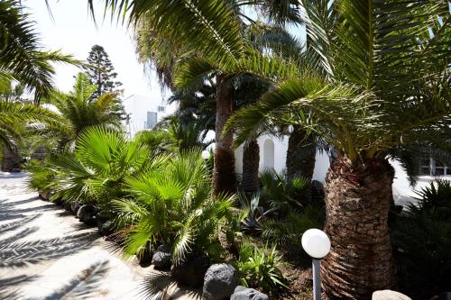  Fenix collection in Perissa