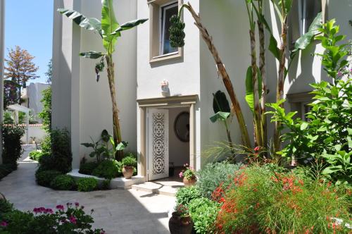 Olivias Group Hotel - image 12