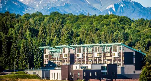 Silver Mountain - Ghimbav