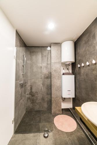 Flex Apartments Tour As Ljubljana, Lublaň (fotografie 4)