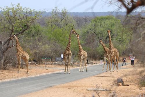 Unembeza Boutique Lodge & Spa