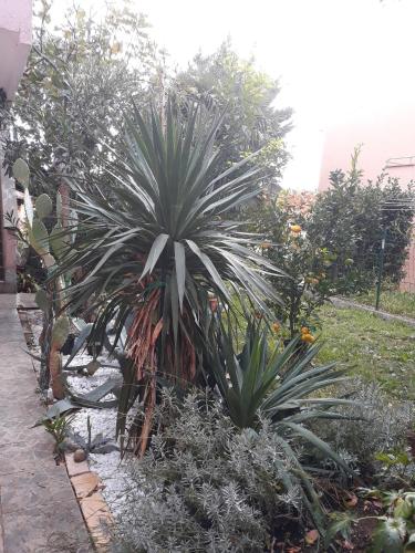 Otok Krk Apartments