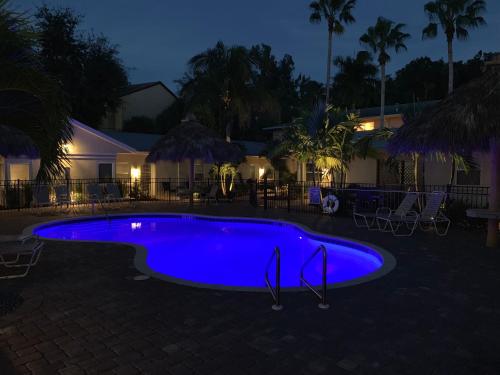 Twin Palms at Siesta - 수영장