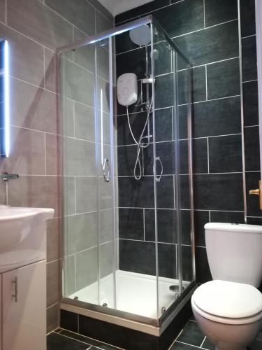 Bright and Airy, 1 Bedroom, Ground Floor Apartment, Uplands, Swansea