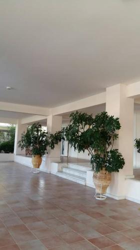 NN Luxury Room near Athens Airport 5