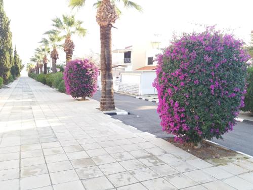 Pirgos beach house - main image