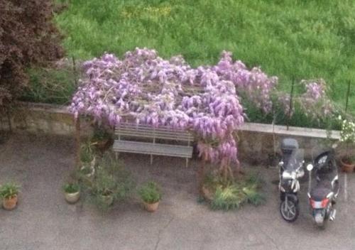  Appartamento Zona Torregalli_Nuvola Rossa in Florenz