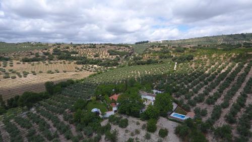  Cortijo El Canjilón MONTEFRÍO in Montefrío