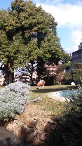 Relais La Canfora 5