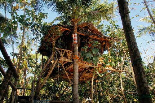 Nyuh Bengkok Tree House