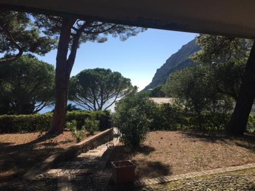 Il nido della gazza Il nido della gazza