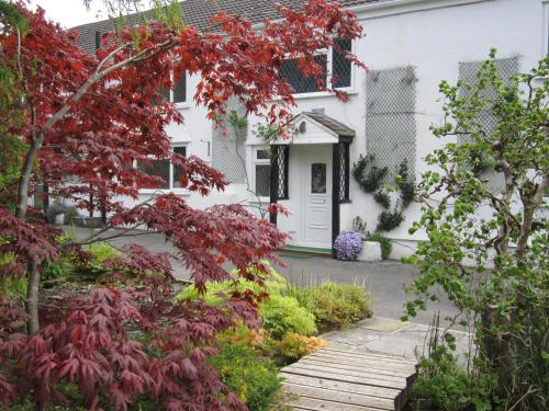 Cwmbach Guest House - Cilfrew