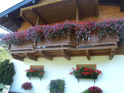 Bergblick, Wagrain (photo 2)