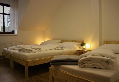 Penzion a restaurace U ŘEKY - image 12