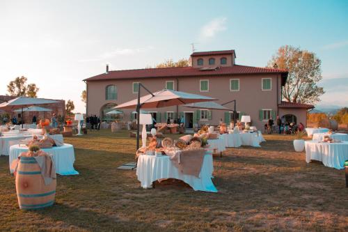 Fattoria L'Olmetto in Сан - Джуліано Терме