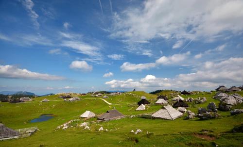 Chalet Košutnik Velika planina