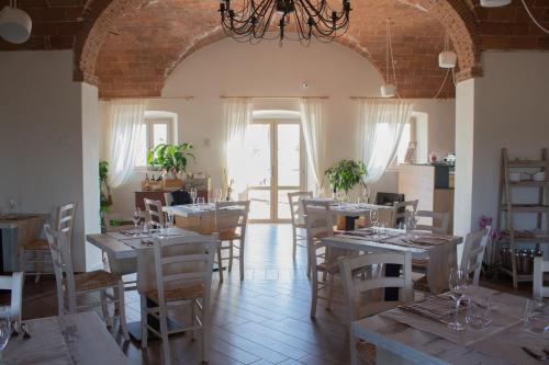 Fattoria L'Olmetto in Сан - Джуліано Терме