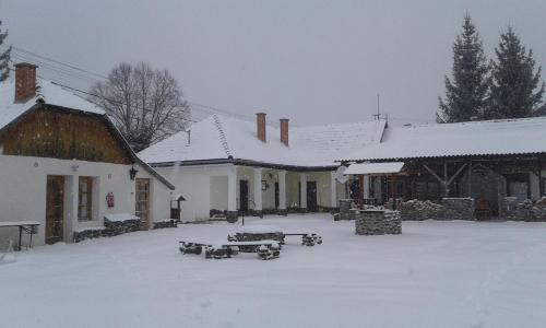 Five-Bedroom House