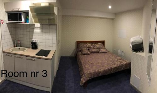 Liivalaia 40 cozy kitchen studio Room Type - Apartment 3