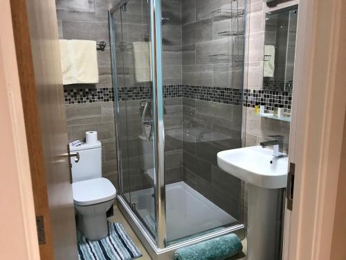 Godshill Park Barn - image 6