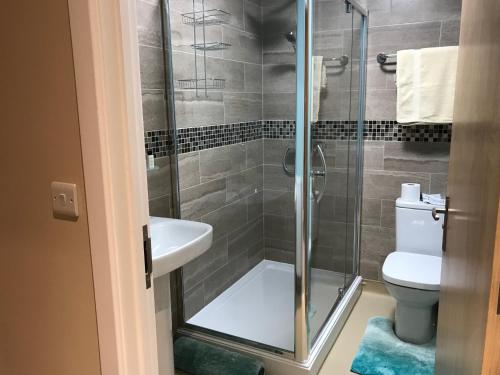 Godshill Park Barn - image 12