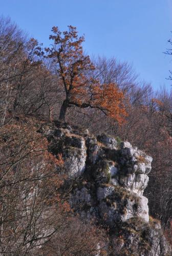Pokoje Gościnne u Grażyny