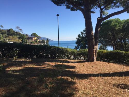 Il nido della gazza Il nido della gazza