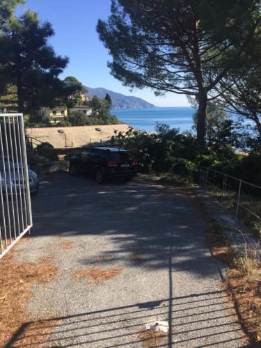 Il nido della gazza Il nido della gazza